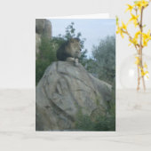 Leo Kaart (Gele Bloem)