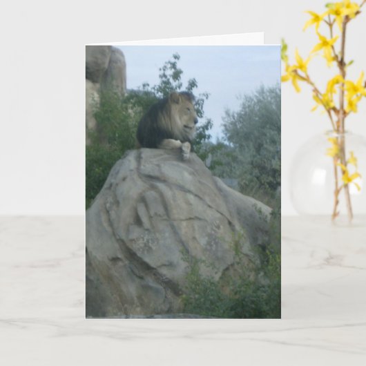 Leo Kaart (Gele Bloem)