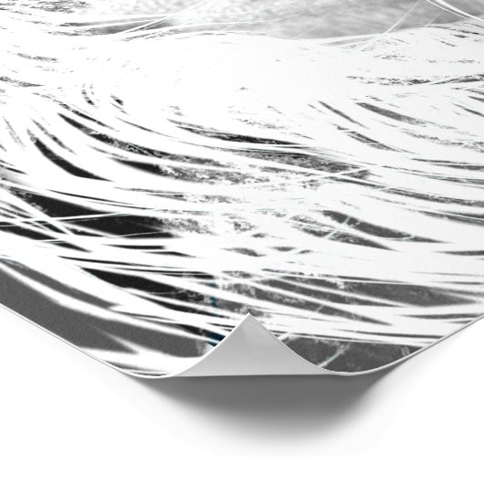 Leo-kenmerken Poster (Hoek)