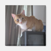 Leo Magneet (Voorkant)