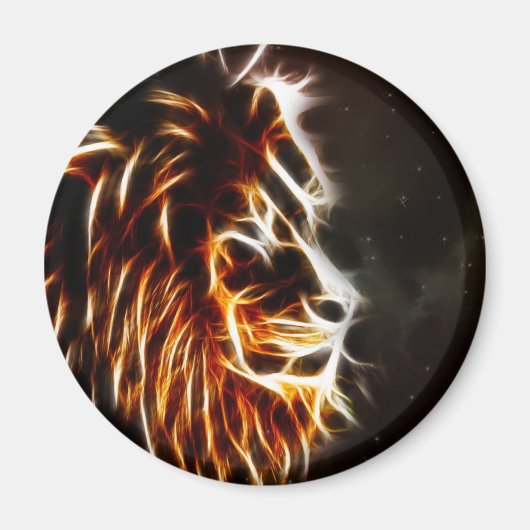 Leo Magneet (Voorkant)