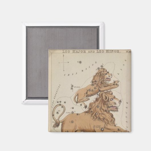 Leo Magnet (Voorkant / Achterkant)