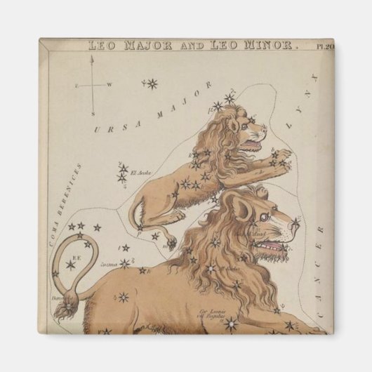 Leo Magnet (Voorkant)