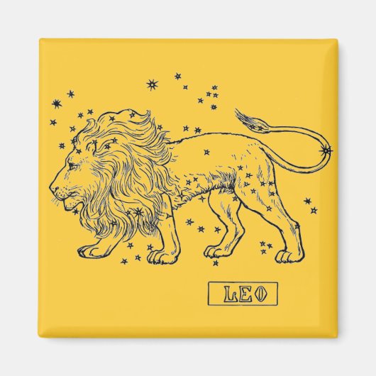 Leo Magnet (Voorkant)