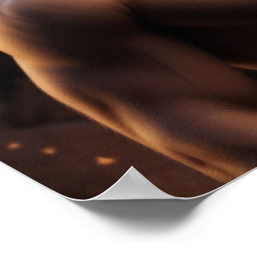 Leo Male Astrologisch Poster (Hoek)