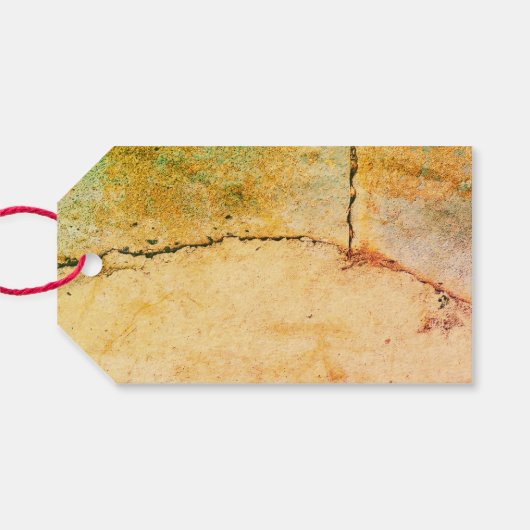 Leo New Baby Gift Cadeaulabel (Achterkant Horizontaal)