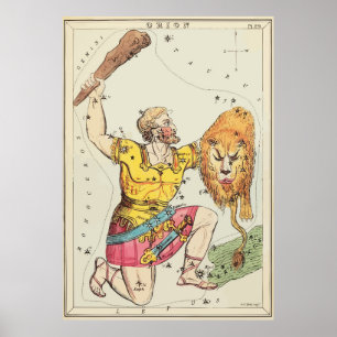 Leo - Orion - Constellatie - sterren Poster