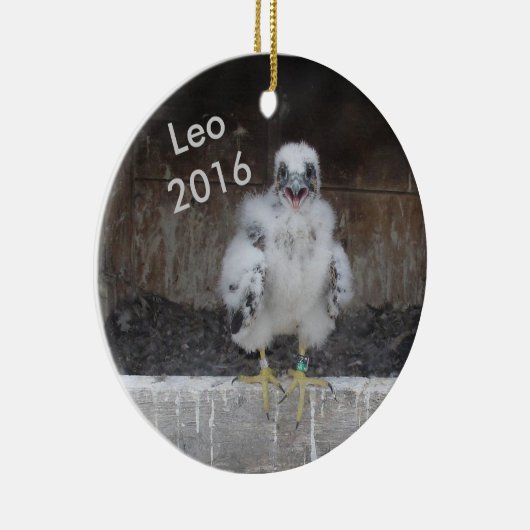 Leo Ornament 2016 (Rechts)