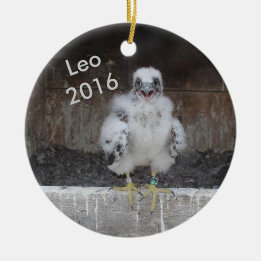 Leo Ornament 2016 (Voorkant)