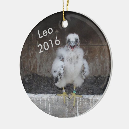 Leo Ornament 2016 (Links)