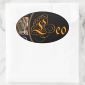 Leo Ovale Sticker (Tas)