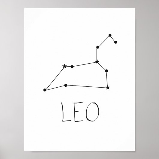 Leo Poster (Voorkant)