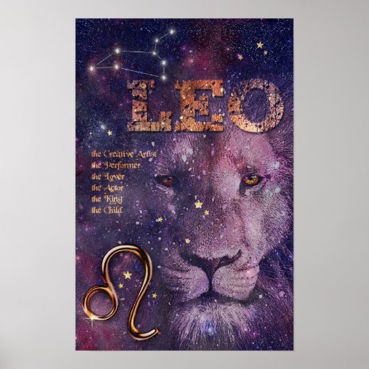 Leo Poster (Voorkant)