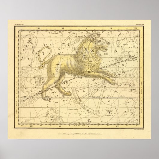 Leo Poster (Voorkant)