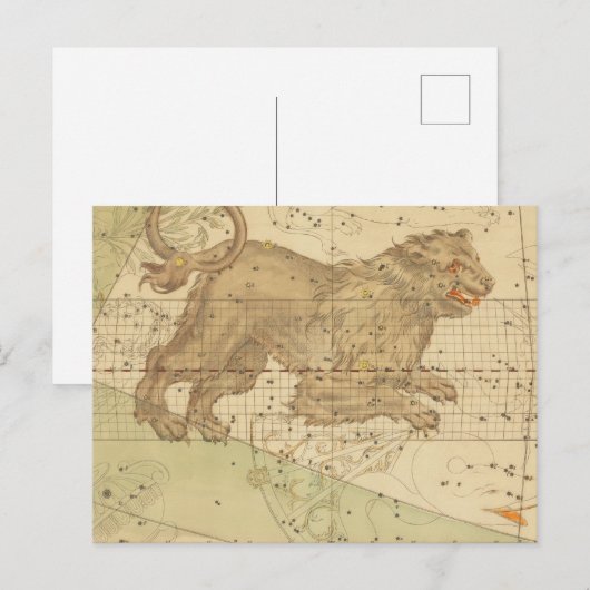 Leo-sterbord hersteld antiek kaart (Voorkant / Achterkant)