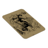 Leo sterrenbeeld Hevelius 1690 23 juli 22 augustus Magneet (Rechterzijde)