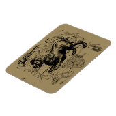 Leo sterrenbeeld Hevelius 1690 23 juli 22 augustus Magneet (Linkerzijde)