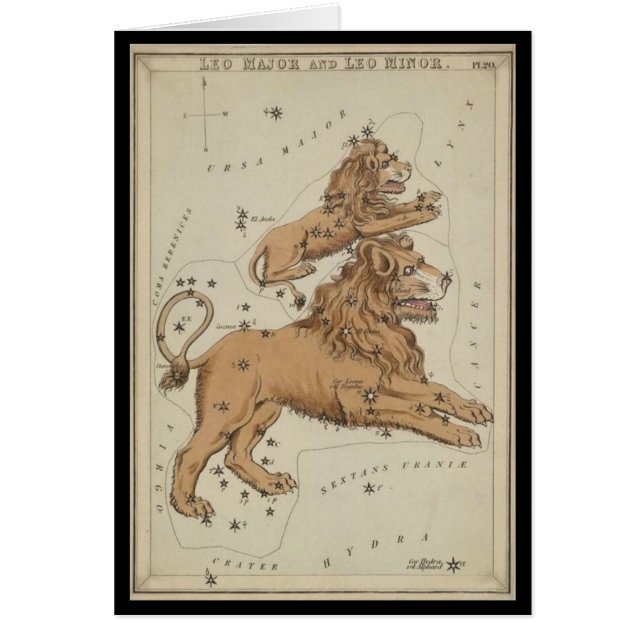 Leo the Lion (Voorkant)