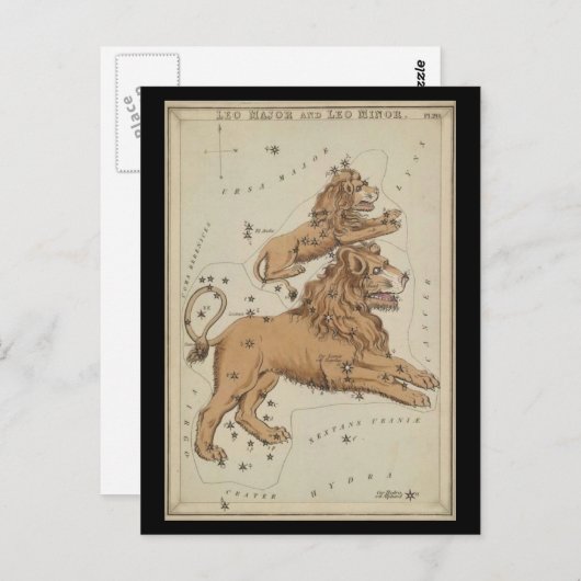 Leo the Lion Briefkaart (Voorkant / Achterkant)