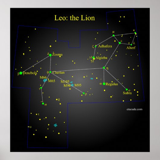 Leo The Lion Constellation Poster (Voorkant)