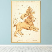 Leo The Lion - teken van het Afbeelding Zodiac Canvas Afdruk (Insitu (Houten vloer))