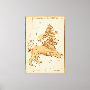 Leo The Lion - teken van het Afbeelding Zodiac Canvas Afdruk
