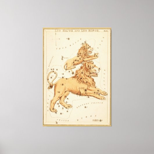 Leo The Lion - teken van het Afbeelding Zodiac Canvas Afdruk (Voorkant)