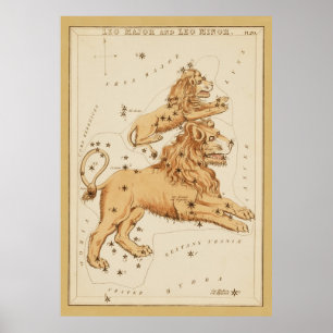 Leo The Lion -  teken van het Afbeelding Zodiac Poster