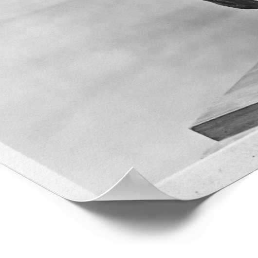 Leo Tolstoy die Delire rijdt Poster (Hoek)