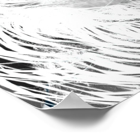 Leo Traits Poster (Hoek)