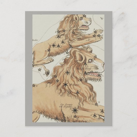 Leo Zodiac Sign Briefkaart (Voorkant)