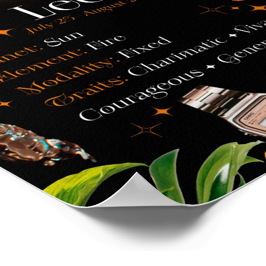 Leo Zodiac Sterrenbeeld Y2k Zwart 4:5 Poster (Hoek)