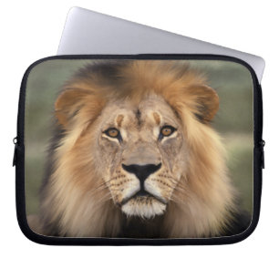 Leon - De koning van het Oerwoud Laptop Sleeve
