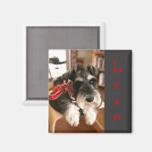 Leon magneten B (Voorkant / Achterkant)