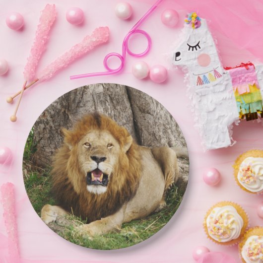 Leon op Maasai Mara 1 Papieren Bordje (Feest)
