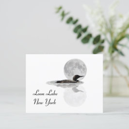 Leon zwemt in het Briefkaart Moonlight