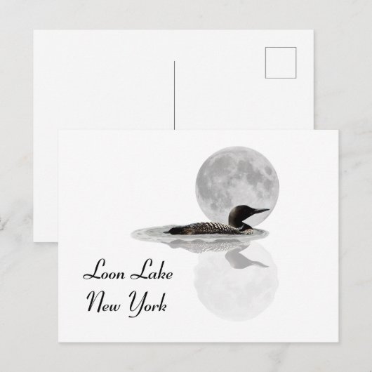 Leon zwemt in het Briefkaart Moonlight (Voorkant / Achterkant)