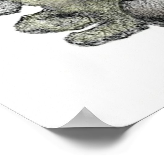 Leonard Oberlender-Color - Poster (Hoek)