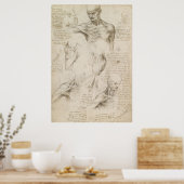 Leonardo Anatomical Drawing of Shoulder and Neck Poster (Keuken)