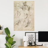 Leonardo Anatomical Drawing of Shoulder and Neck Poster (Thuiskantoor)