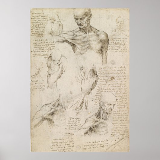 Leonardo Anatomical Drawing of Shoulder and Neck Poster (Voorkant)