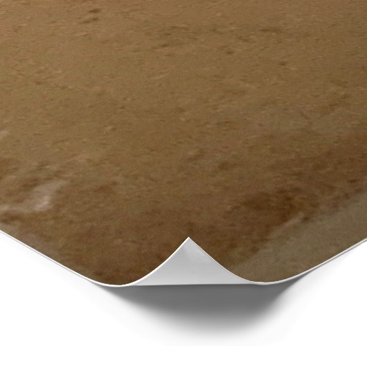 Leonardo, Atlantic Codex - De architecten Poster (Hoek)