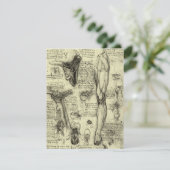 Leonardo da Vinci Antieke Menselijke Anatomie Keel (Staand voorkant)