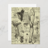 Leonardo da Vinci Antieke Menselijke Anatomie Keel (Voorkant / Achterkant)