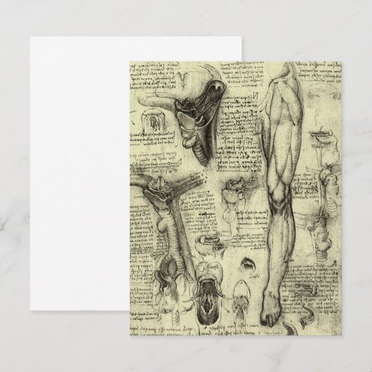 Leonardo da Vinci Antieke Menselijke Anatomie Keel (Voorkant / Achterkant)
