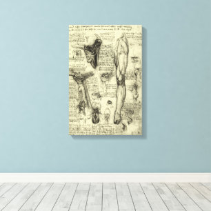Leonardo da Vinci Antieke Menselijke Anatomie Lary Canvas Afdruk