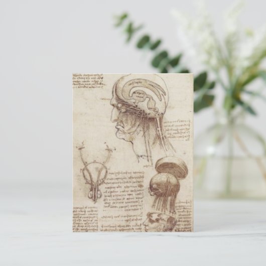 Leonardo da Vinci - Brain Physiology Briefkaart (Staand voorkant)