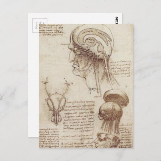 Leonardo da Vinci - Brain Physiology Briefkaart (Voorkant / Achterkant)