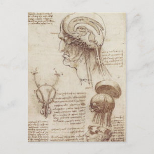 Leonardo da Vinci - Brain Physiology Briefkaart