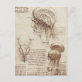 Leonardo da Vinci - Brain Physiology Briefkaart (Voorkant)
